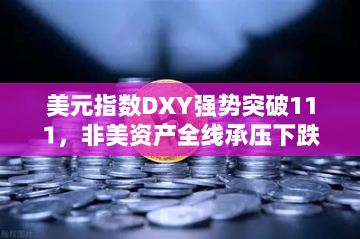 美元指数DXY强势突破111，非美资产全线承压下跌，投资者如何应对全球市场风暴？