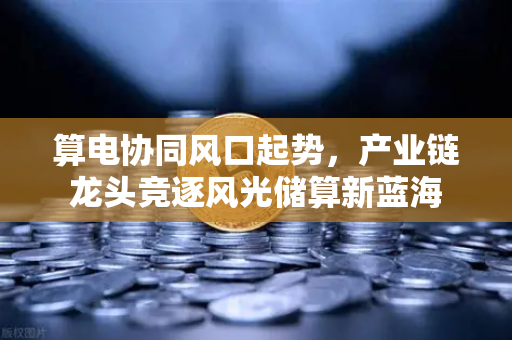 算电协同风口起势，产业链龙头竞逐风光储算新蓝海