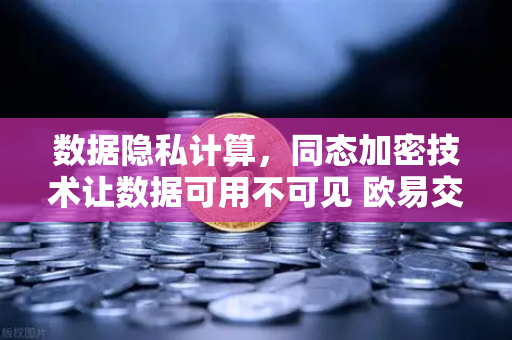 数据隐私计算，同态加密技术让数据可用不可见 欧易交易所官网的安全底座