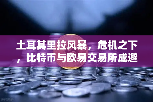 土耳其里拉风暴，危机之下，比特币与欧易交易所成避险新选择？
