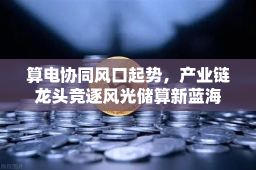 算电协同风口起势，产业链龙头竞逐风光储算新蓝海