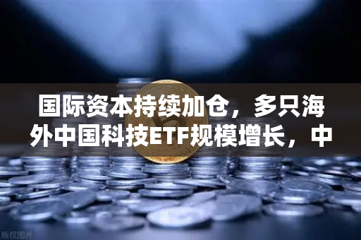 国际资本持续加仓，多只海外中国科技ETF规模增长，中概股与加密资产联动