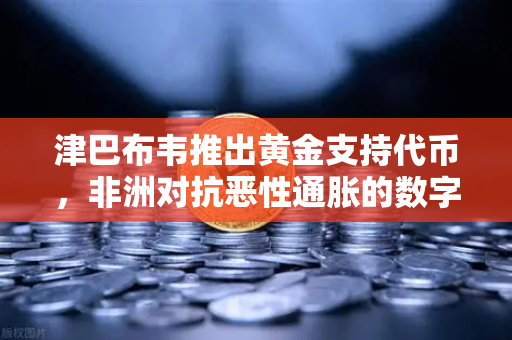 津巴布韦推出黄金支持代币,非洲对抗恶性通胀的数字货币革命-第1张图片-欧易交易所 津巴布韦推出黄金支持代币,非洲对抗恶性通胀的数字货币革命-第1张图片-欧易交易所