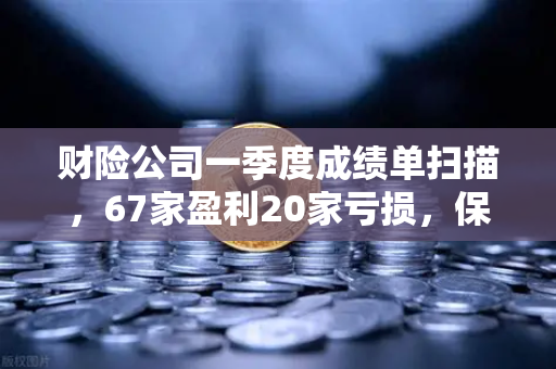 财险公司一季度成绩单扫描，67家盈利20家亏损，保险资金入市偏好深度解析