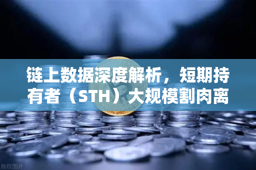 链上数据深度解析，短期持有者（STH）大规模割肉离场，市场底部信号已现？