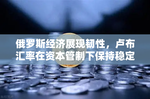 俄罗斯经济展现韧性，卢布汇率在资本管制下保持稳定，欧易交易所官网深度解析
