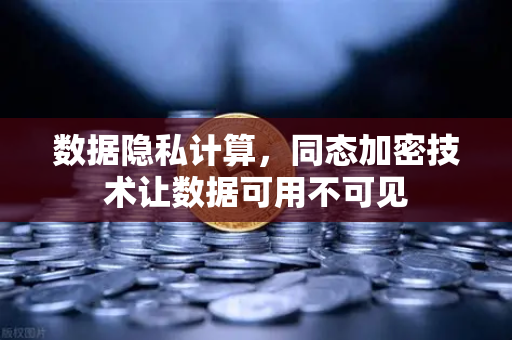 数据隐私计算,同态加密技术让数据可用不可见-第1张图片-欧易交易所 数据隐私计算,同态加密技术让数据可用不可见-第1张图片-欧易交易所
