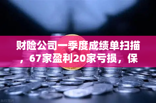 财险公司一季度成绩单扫描，67家盈利20家亏损，保险资金入市偏好显著分化