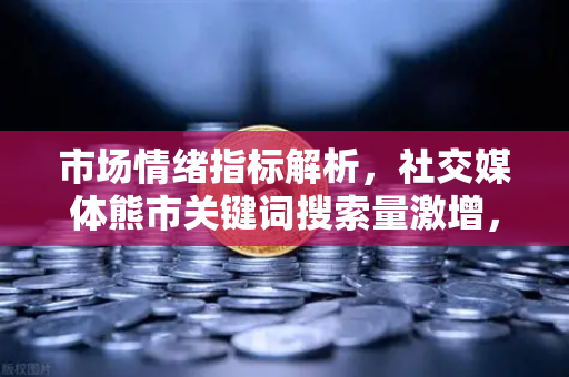 市场情绪指标解析，社交媒体熊市关键词搜索量激增，投资者如何应对？