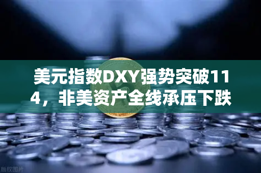 美元指数DXY强势突破114，非美资产全线承压下跌，全球市场震荡下的投资策略解析