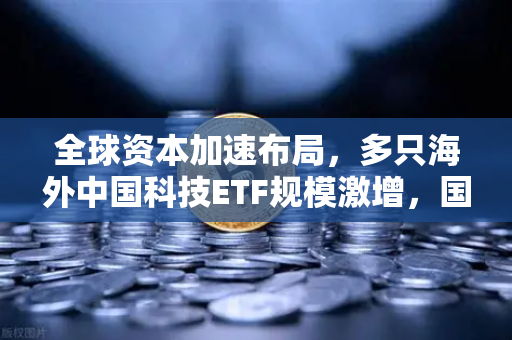 全球资本加速布局，多只海外中国科技ETF规模激增，国际资本持续加仓信号强烈