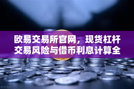 欧易交易所官网，现货杠杆交易风险与借币利息计算全解析