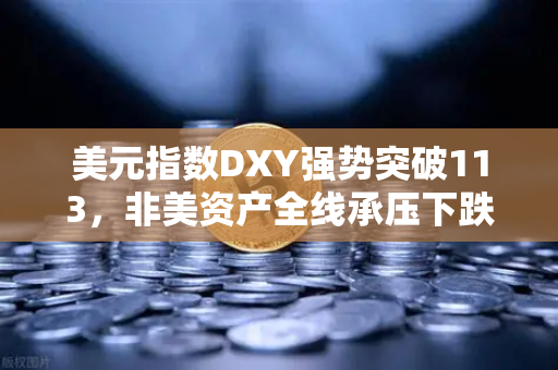 美元指数DXY强势突破113，非美资产全线承压下跌，全球金融市场格局剧变