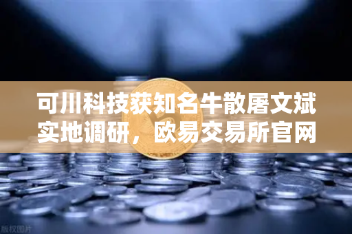 可川科技获知名牛散屠文斌实地调研，欧易交易所官网聚焦光电材料新赛道布局-第1张图片-欧易交易所