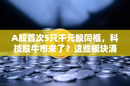 A股首次5只千元股同框，科技股牛市来了？这些板块涌现最多