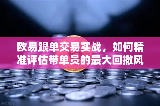 欧易跟单交易实战，如何精准评估带单员的最大回撤风险？