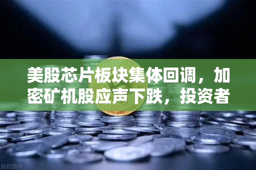 美股芯片板块集体回调，加密矿机股应声下跌，投资者在担心什么？
