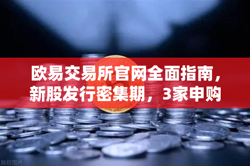 欧易交易所官网全面指南，新股发行密集期，3家申购+1家缴款+1家上市全解析