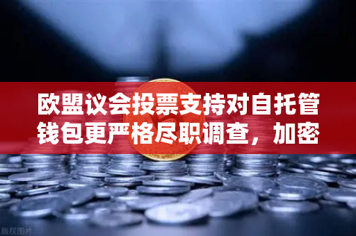 欧盟议会投票支持对自托管钱包更严格尽职调查,加密监管新时代来临-第1张图片-欧易交易所 欧盟议会投票支持对自托管钱包更严格尽职调查,加密监管新时代来临-第1张图片-欧易交易所