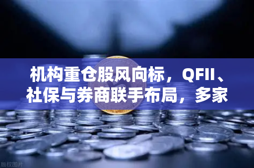 机构重仓股风向标,QFII、社保与券商联手布局,多家涉币概念股浮出水面-第1张图片-欧易交易所 机构重仓股风向标,QFII、社保与券商联手布局,多家涉币概念股浮出水面-第1张图片-欧易交易所