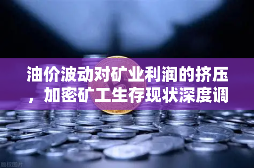 油价波动对矿业利润的挤压,加密矿工生存现状深度调查-第1张图片-欧易交易所 油价波动对矿业利润的挤压,加密矿工生存现状深度调查-第1张图片-欧易交易所