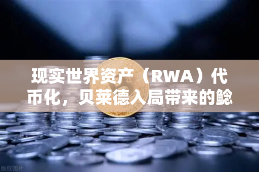 现实世界资产(RWA)代币化,贝莱德入局带来的鲶鱼效应-第1张图片-欧易交易所 现实世界资产(RWA)代币化,贝莱德入局带来的鲶鱼效应-第1张图片-欧易交易所