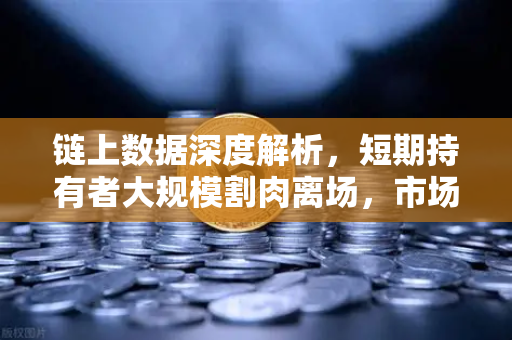 链上数据深度解析,短期持有者大规模割肉离场,市场底部信号是否已现?-第1张图片-欧易交易所 链上数据深度解析,短期持有者大规模割肉离场,市场底部信号是否已现?-第1张图片-欧易交易所