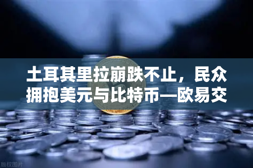 土耳其里拉崩跌不止，民众拥抱美元与比特币—欧易交易所下载成避险新通道-第1张图片-欧易交易所