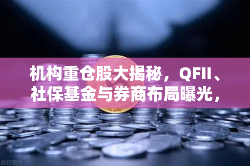 机构重仓股大揭秘,QFII、社保基金与券商布局曝光,涉币概念股成新风口-第1张图片-欧易交易所 机构重仓股大揭秘,QFII、社保基金与券商布局曝光,涉币概念股成新风口-第1张图片-欧易交易所