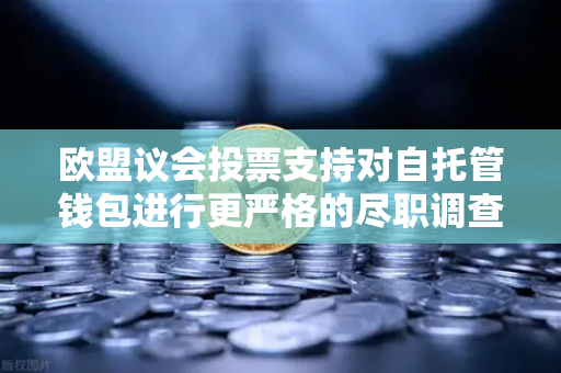 欧盟议会投票支持对自托管钱包进行更严格的尽职调查,欧易交易所官网解读加密监管新趋势-第1张图片-欧易交易所 欧盟议会投票支持对自托管钱包进行更严格的尽职调查,欧易交易所官网解读加密监管新趋势-第1张图片-欧易交易所