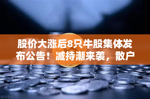 股价大涨后8只牛股集体发布公告!减持潮来袭,散户如何应对?-第1张图片-欧易交易所 股价大涨后8只牛股集体发布公告!减持潮来袭,散户如何应对?-第1张图片-欧易交易所