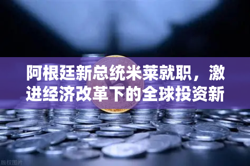 阿根廷新总统米莱就职,激进经济改革下的全球投资新风口-第1张图片-欧易交易所 阿根廷新总统米莱就职,激进经济改革下的全球投资新风口-第1张图片-欧易交易所