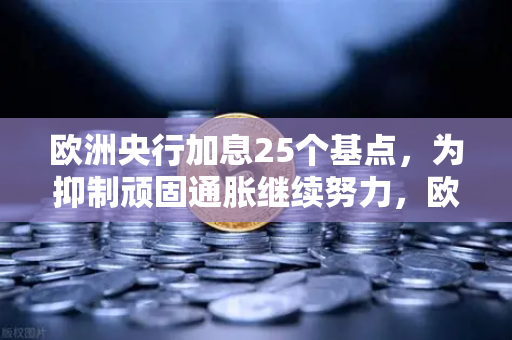 欧洲央行加息25个基点,为抑制顽固通胀继续努力,欧易交易所官网解读市场影响-第1张图片-欧易交易所 欧洲央行加息25个基点,为抑制顽固通胀继续努力,欧易交易所官网解读市场影响-第1张图片-欧易交易所