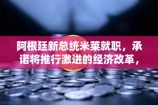 阿根廷新总统米莱就职,承诺将推行激进的经济改革,全球市场瞩目下的欧易交易所官网动态-第1张图片-欧易交易所 阿根廷新总统米莱就职,承诺将推行激进的经济改革,全球市场瞩目下的欧易交易所官网动态-第1张图片-欧易交易所