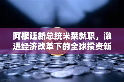 阿根廷新总统米莱就职，激进经济改革下的全球投资新机遇与欧易交易所的角色