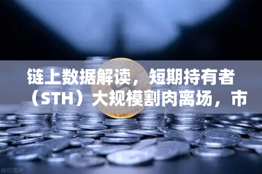 链上数据解读，短期持有者（STH）大规模割肉离场，市场底部是否已近？