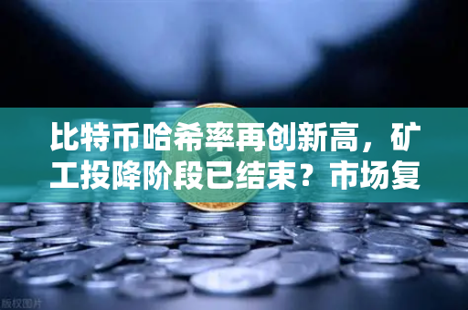 比特币哈希率再创新高，矿工投降阶段已结束？市场复苏信号全面解读