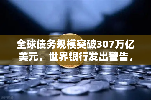 全球债务规模突破307万亿美元，世界银行发出警告，经济风暴前的最后警报？