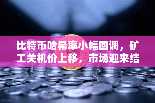 比特币哈希率小幅回调，矿工关机价上移，市场迎来结构性调整-第1张图片-欧易交易所
